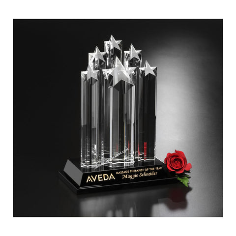 6919 | Crystal Starburst Award