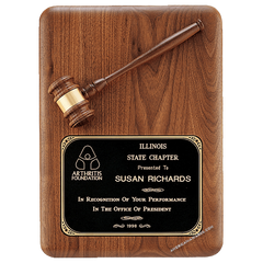 PG1687 |  Parliament Series Gavel Plaques